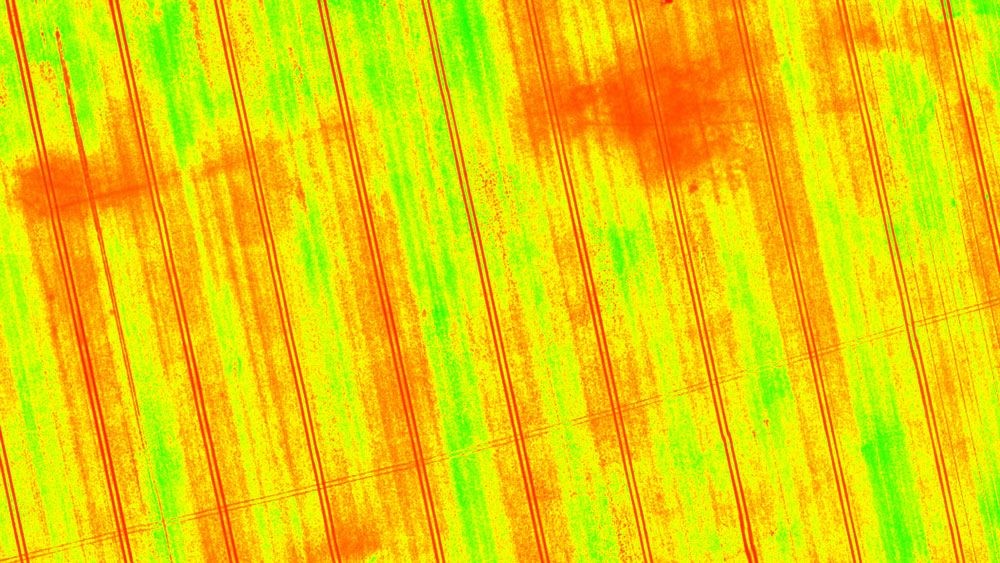 Crop NDVI multispectral imaging